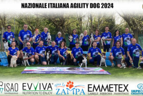 World Agility Championship: all’Italia 15 medaglie, un grande successo!