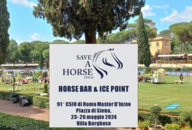 Quest’anno al CSIO di Roma due “horse bar” per distribuire acqua, mele e carote ai cavalli in gara