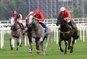 Il venerdì sera di galoppo all’Ippodromo Snai San Siro, che ha fatto da anteprima alla super domenica con il GP di Milano, regala a Enta Omry il Premio Bersaglio