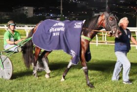 Estate all’ippodromo, domenica 30 giugno spettacoli nel parco e gp “Città di Napoli” in pista