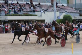 Lunedì 2 giugno all’ippodromo di Bologna la 77° edizione del Gran Premio della Repubblica