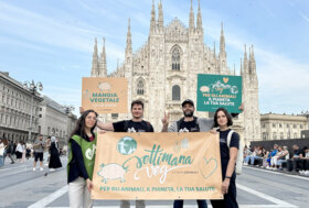 Iniziata ieri la Settimana Veg