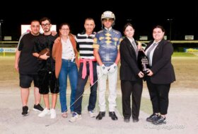 Cesena Trotto: resoconto delle corse martedì 2 luglio