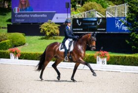 I binomi del Dressage Life per il secondo anno consecutivo agli Europei in Belgio