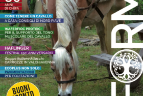 E’ uscito il Nuovo numero di INFORMA