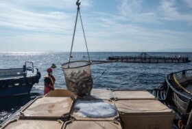 Benessere dei pesci, nuovo sondaggio YouGov