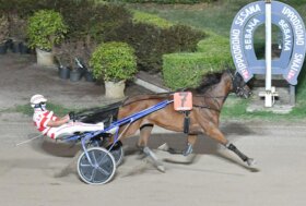 Esordio vincente per Gaby Wise As nel bel mercoledì sera all’ippodromo Snai Sesana davanti a circa mille spettatori