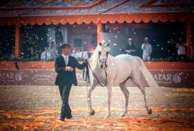Il Circo Massimo di Roma ospiterà la penultima tappa del Global Champions Arabians Tour
