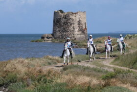 Sardegna Endurance festival 2024. Arborea, decine i team equestri internazionali in arrivo per le gare del 26 e 29 settembre