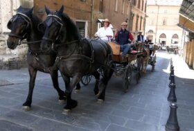 Con il “paradriving” l’inclusione sociale sarà al centro della 54^ Mostra Nazionale del Cavallo di Città di Castello