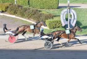 Sabato la penultima riunione della stagione di trotto all’ippodromo Snai Sesana