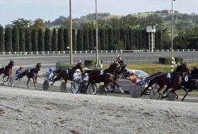 Il trotto marchigiano celebra la Grottazzolina e i Gentlemen Driver, aspettando il Palio dei Comuni