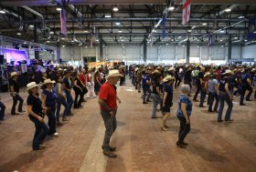 CremonaFiere, 15-17 novembre: Futurity, Reining, Cutting…