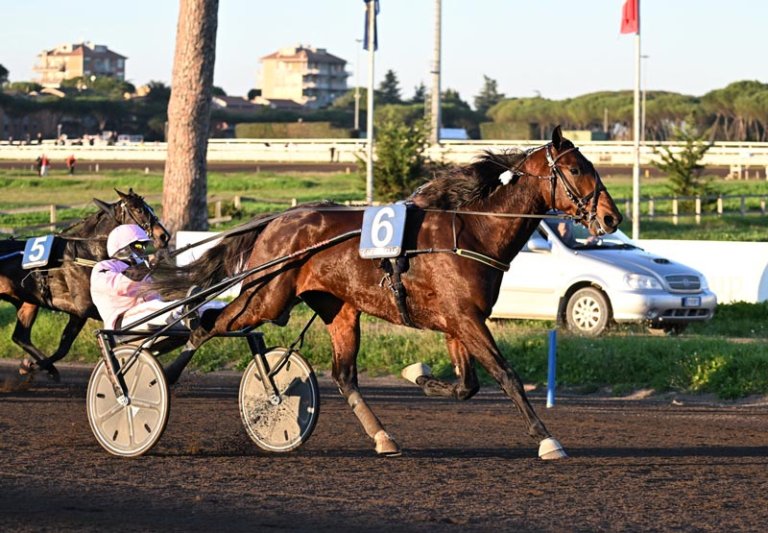 Gocciadoro Day all’Ippodromo Capannelle: Executive Ek vince il Gran Premio Triossi, a East Asia il Gran Premio Carena