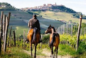 𝗜𝗹 𝗰𝗮𝘃𝗮𝗹𝗹𝗼 𝗮𝗹 𝗰𝗲𝗻𝘁𝗿𝗼 𝗱𝗲𝗹 𝘁𝘂𝗿𝗶𝘀𝗺𝗼: 𝗽𝗮𝗿𝘁𝗲 𝗶𝗹 𝗰𝗼𝗿𝘀𝗼 𝗶𝗻 𝗛𝗼𝗿𝘀𝗲 𝗧𝗿𝗮𝘃𝗲𝗹 𝗠𝗮𝗻𝗮𝗴𝗲𝗿