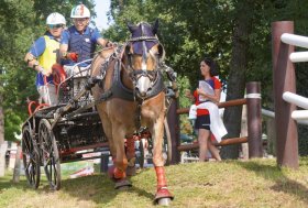 Campionato Sportivo Europeo Haflinger: Stadl-Paura (austria) 21-24 agosto 2024