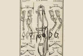 Equitare Edizioni annuncia la pubblicazione del libro IMBOCCATURE – Conoscerle per usarle consapevolmente
