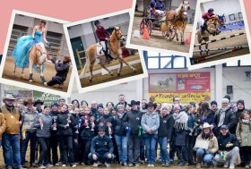 Una Domenica di Successi: La Versatilità del Cavallo Haflinger in Mostra a Travagliato