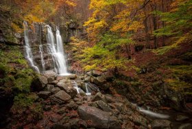 COP 16.2 Roma, 39 Organizzazioni della società civile chiedono al Governo un impegno concreto per gli obiettivi globali per la biodiversità