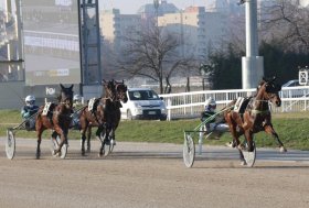 Nel mercoledì di trotto all’ippodromo Snai San Siro di Milano la corsa con maggiore dotazione la vince Firmamento ST