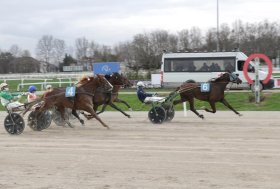 Il venerdì di trotto all’ippodromo Snai San Siro di Milano regala a Gold Man Fi una vittoria a sorpresa nel Premio Tenerife