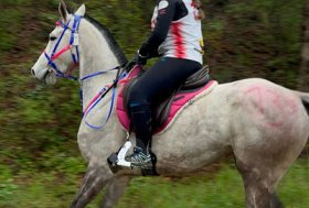 Endurance – bene Pisano e Rocher impegnate a Città della Pieve a Perugia
