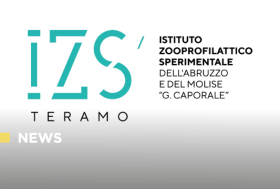 Invito a partecipare all’indagine sulla proprietà responsabile del cavallo