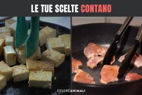 Meat Out Day: oggi è la Giornata mondiale che invita a eliminare la carne dal piatto, il VIDEO di Essere Animali 