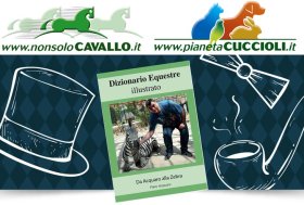 Auguri Papà: Buona Festa con il nostro Omaggio… e i Buoni Sconto