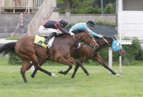 Nel mercoledì di galoppo all’ippodromo Snai San Siro Thine Be The Glory firma il premio Alberto Zanoletti da Rozzano