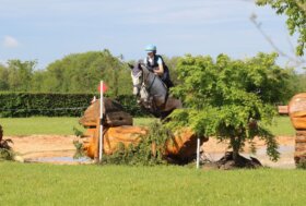 Completo: Coppa dei Campioni. Ecco tutti i vincitori