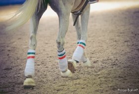 Successo per la 1ª tappa del Campionato Italiano Senior Misto e Torneo Interregionale Pony 2025