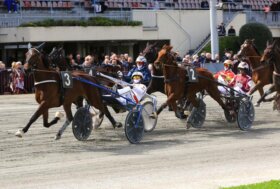 Ippodromo di Bologna: giovedì otto corse con ottime individualità e pronostici incerti