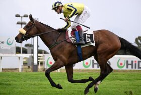 Ippodromo Capannelle – lunedì 1 settembre si riparte: la “divina” Klaynn inaugura la stagione delle corse