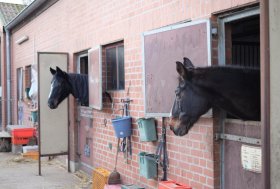 Pulizie di Primavera?