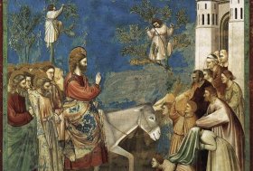L’asino, la croce scapolare e la Domenica delle Palme