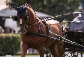 Attacchi: le prove di Castelli e Consolini a Selestat