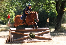 Dressage e Completo: due concorsi nazionali a Tanca Regia (Abbasanta)