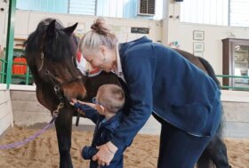 Il Cavallo e la Cura: la conferenza sugli interventi assistiti con animali 