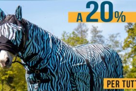 Non Perdere gli Extra Sconto da -10% a -20% su migliaia di prodotti! con Tessera Premium