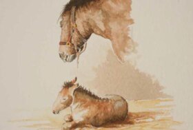 Convegno 16 maggio “La Riabilitazione Equestre: contributi teorici e proposte applicative”