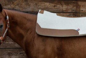 Da -10% a -20% su ciò che vuoi 🔔 Weekend di Veri Sconti. Approfittane Subito…