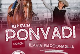 Le Ponyadi KEP Italia 2025 si terranno ad Arezzo dal 24 al 27 luglio presso l’Arezzo Equestrian Centre di San Zeno (AR).
