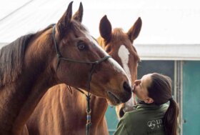 FIERACAVALLI: è ufficialmente aperta la biglietteria dell’edizione 2025