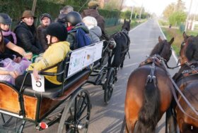 Il Sor-Riso Che Unisce