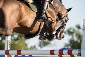 Bucci ad Amsterdam per la World Cup. Camilli, Gaudiano, Garcia e Previtali a Doha