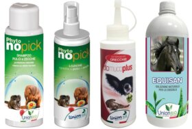 MALALEUCA benefici e usi