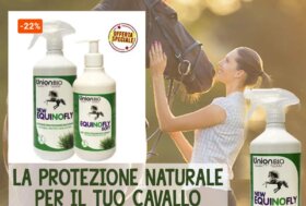 La protezione… non va mai in vacanza