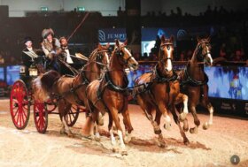 Nel Galà d’Oro “Pathos”