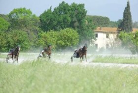 Prima rassegna del Cavallo Trottatore – Centro Ippico Mediceo Prato